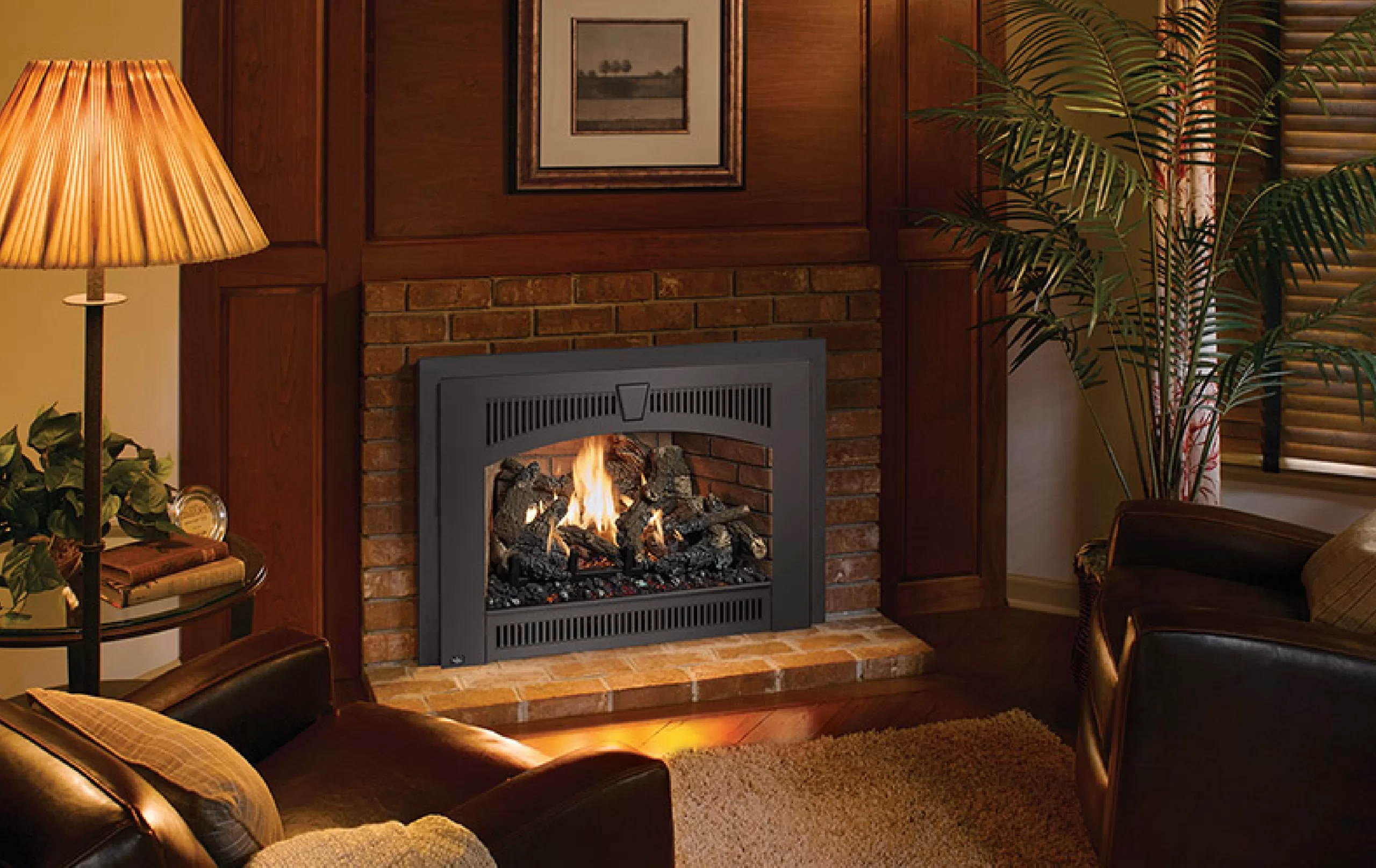 gas fireplace and insert maintenance and service